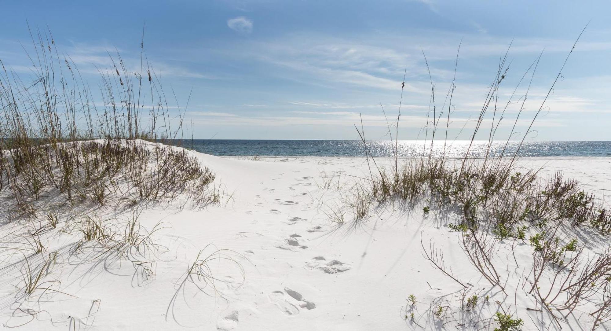 Nautilus 2408 Gulf View 2 Bedroom 4Th Floor Free Beach Service Fort Walton Beach Exterior foto